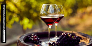 O que você precisa saber para iniciar no mundo dos vinhos