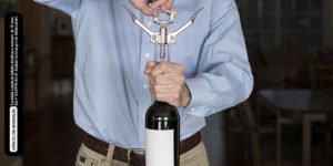 O que você precisa saber para iniciar no mundo dos vinhos