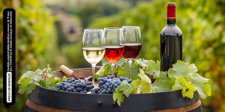 O que você precisa saber para iniciar no mundo dos vinhos